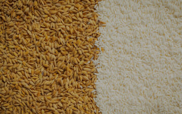 Rice Milling & Packaging